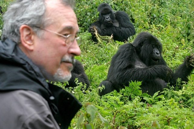 Gorilla tracking in Bwindi Impenetrable National Park