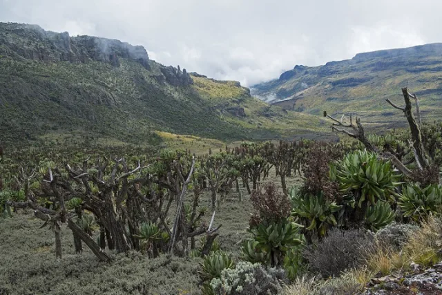 Mount Elgon National Park