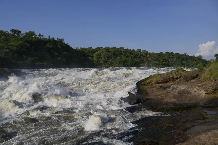 Murchison falls national park